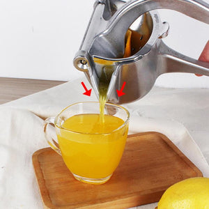 Stainless Steel Mini Citrus Juicer